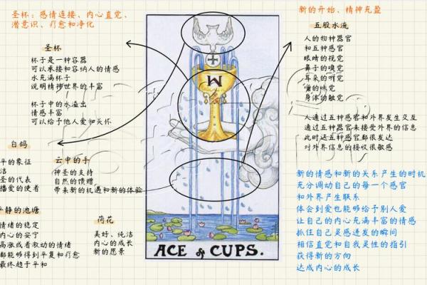 通过塔罗牌解读今生命运的奥秘与启示