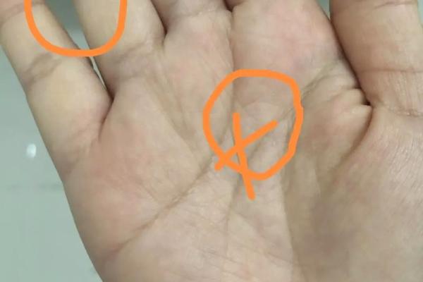 没有细纹的手掌揭示的命格与生活智慧