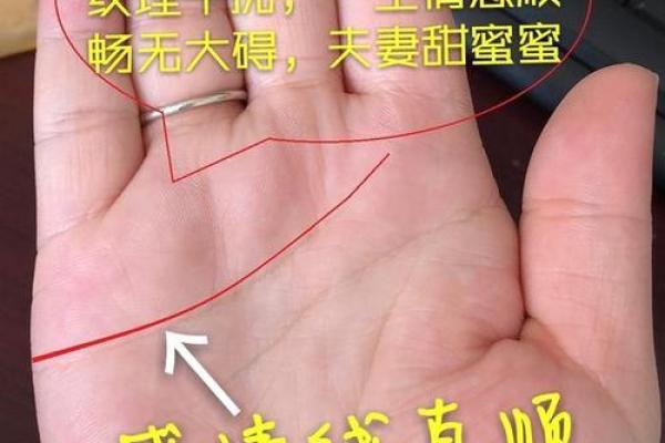 通过看手掌识命，揭示你的人生轨迹与性格特征