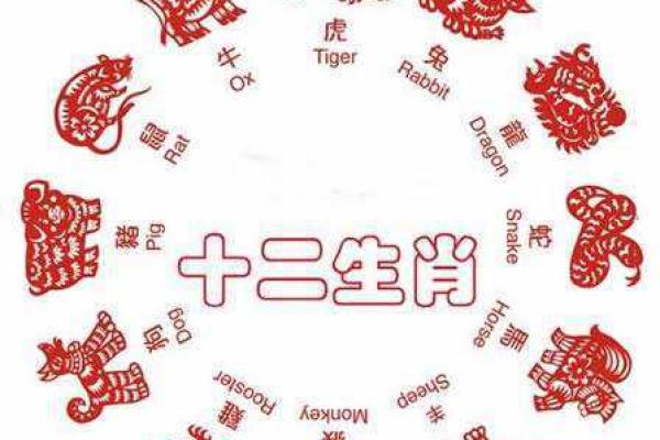六斤二两的人生命格解析：探索命理背后的深意