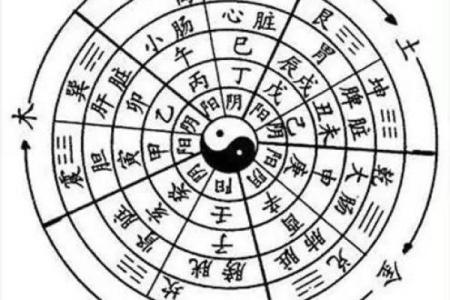 探讨女命月柱戌亥的奥秘与命理解读