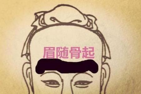 男性龙凤命的深刻含义与生活影响解析