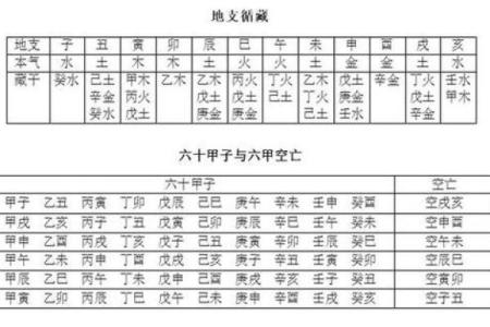 女命4两1的命理解读：探索命运的奥秘与人生的选择
