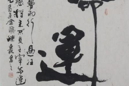 探索命运的奥秘：你是否相信它的力量？