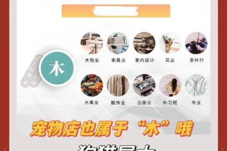 木命与金命的财运分析:如何利用五行提升财富与机遇