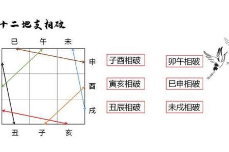 命理与生肖：揭示每个生肖背后的精神密码