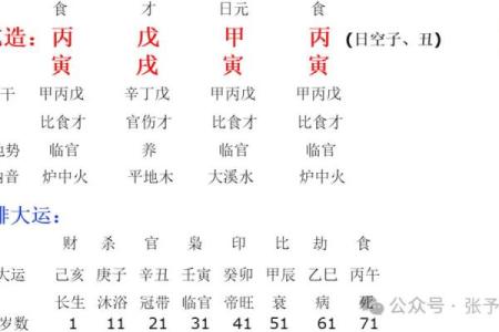 女命八字五行齐全的深刻解读与人生启示