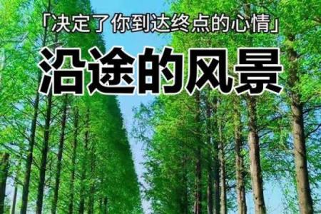 命里福禄不错,人生的风景与机遇之旅