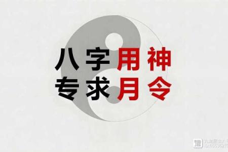 命理学中的“犯合”解密:深入理解与应用