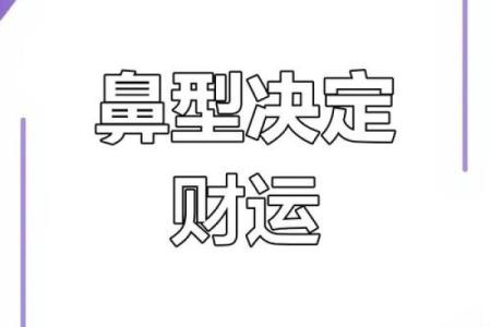 炉中火命与财运的关系探寻：揭秘你的命理财富之道