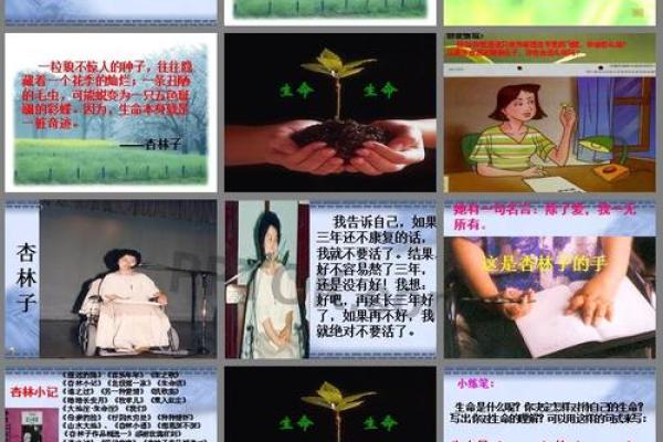 命日的意义与人生态度：生命的思考与反思