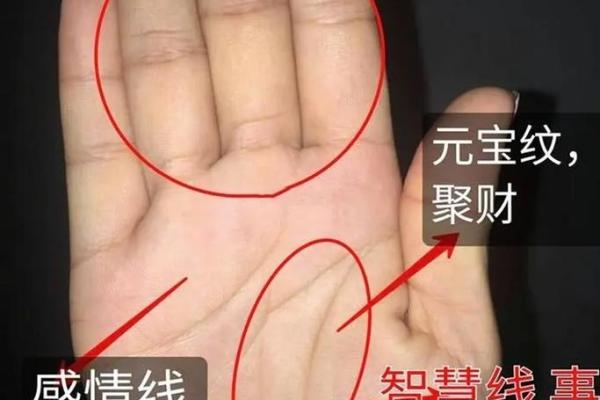 男手相三线不相交，暗藏人生玄机与命运走向！