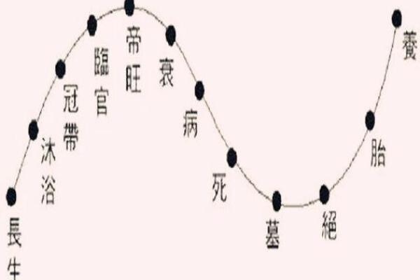 命理中的食神多是什么意思？解读食神多命的深厚内涵与人生运势