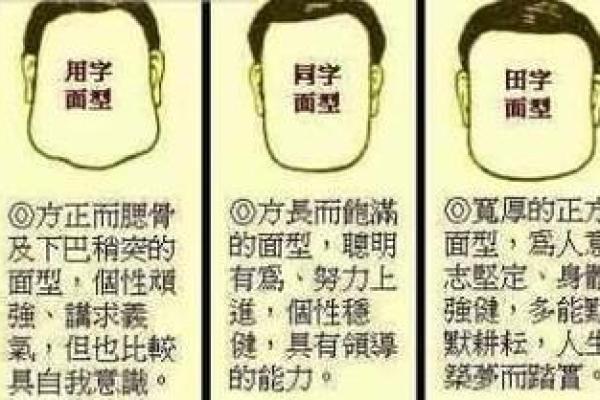 摸骨算命：揭秘雀骨命的神秘特征与命运分析
