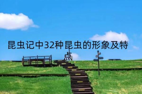 1982年出生的您，命运如何？来看看生肖与命格的奥秘吧！