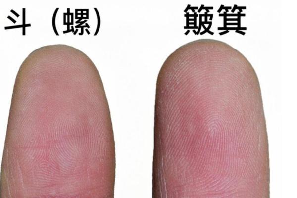 男子九斗一簸箕命理解析：如何看待人生的起伏与机遇