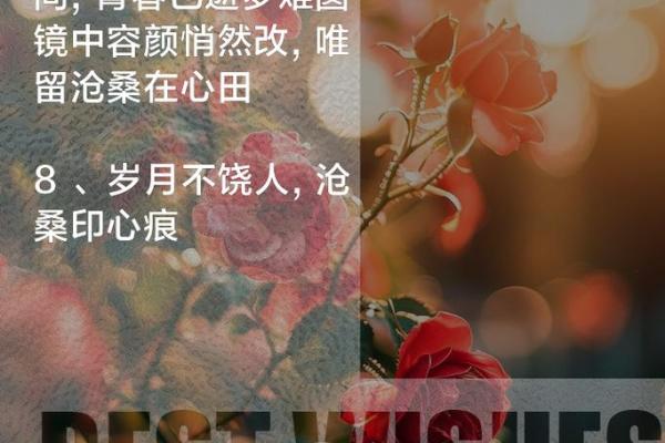 拼了命的想念你，爱在岁月流转中的绵延与坚持