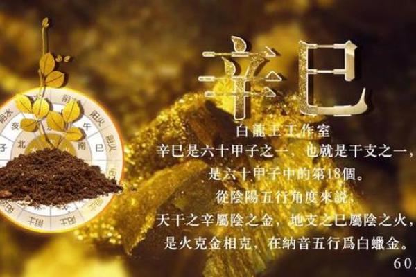柳树木命与金命的和谐共生关系
