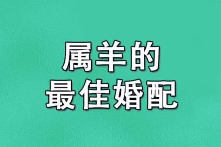 路边土命与属相婚配：寻觅和谐幸福的秘钥