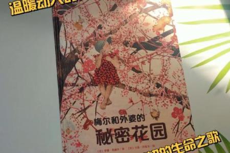 女掌男权的命运:古今女性的隐秘力量与挑战