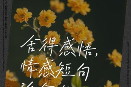 劳碌命:生活中的辛勤付出与内心的奋斗之路