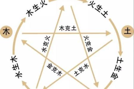 了解木命格：寻找命理中的完美伴侣与合作伙伴