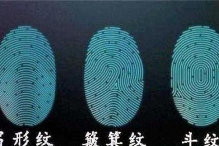 男子九斗一簸箕命理解析:如何看待人生的起伏与机遇