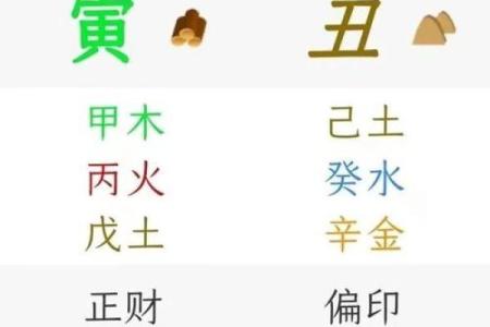 命局中两个正印的象征与意义分析