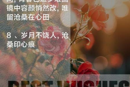 拼了命的想念你,爱在岁月流转中的绵延与坚持