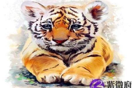 女人属虎的四月命理解读：勇敢与智慧的结合