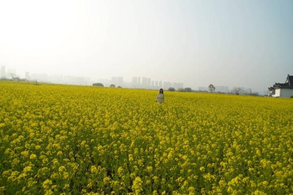 命里有九个字：揭示人生旅程的重要指引