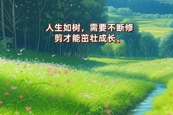 命里有九个字：揭示人生旅程的重要指引