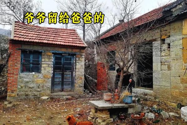 农村人的命运：在土地与梦想间的坚守与追寻