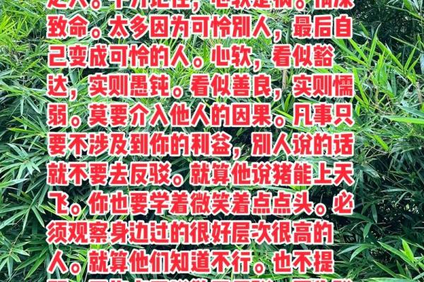 农村人的命运：在土地与梦想间的坚守与追寻