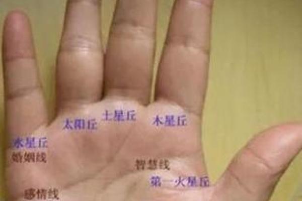 手掌纹路揭秘：看女人命运，掌握未来的秘密!