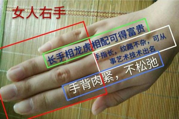女性属鸡的命格解析：聪慧与独立的完美结合