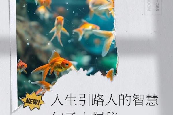 命局财官两旺，解密人生成功的关键与智慧