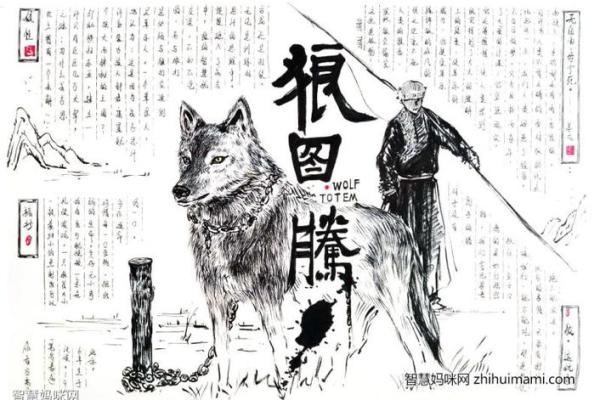 奴才之命，狼的忠诚与智慧探秘