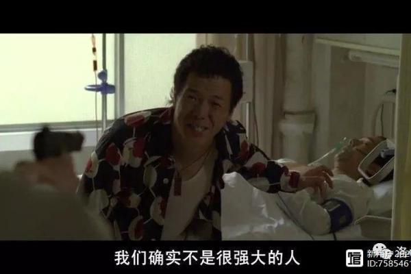 农历91年出生：命运的独特密码与人生旅程