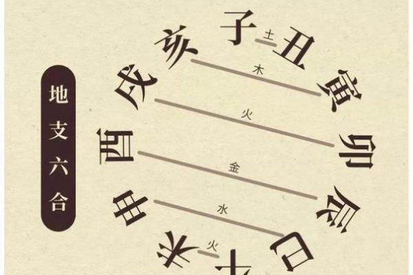 探讨木命与其他五行命相配的最佳搭配与相生之道