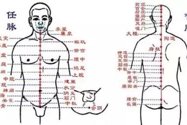揭秘女性命格：如何识别大富大贵的命运之路