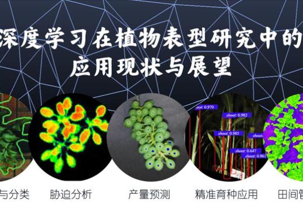 命理学中的用神“土”：深度探讨与实际应用
