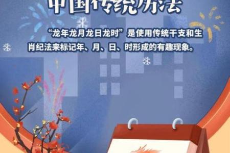 龙年木命的适合字:探寻生命中的力量与智慧