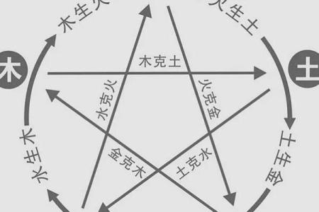 探秘男命父亲五行属性对人生的深远影响