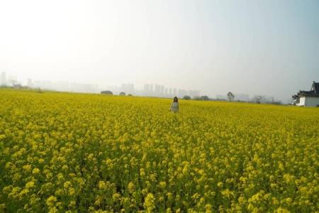 命里有九个字:揭示人生旅程的重要指引