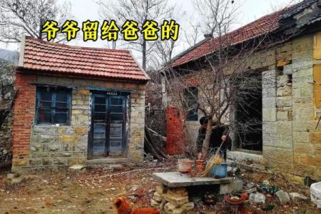 农村人的命运：在土地与梦想间的坚守与追寻