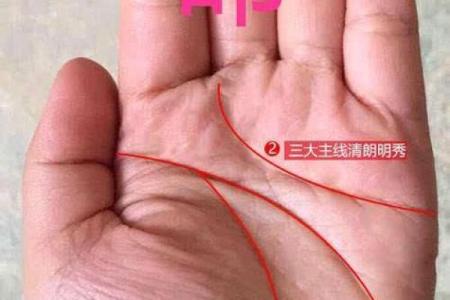命理中的“42金”：解析其深层次的意义与启示