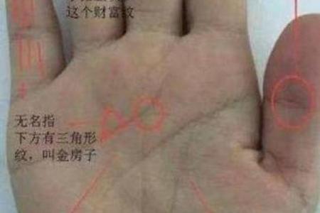 硬命是啥？揭开命格背后的生存智慧与思考