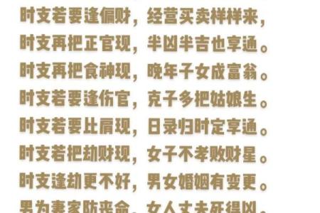 入门盲派命理:适合初学者的书籍推荐与解析