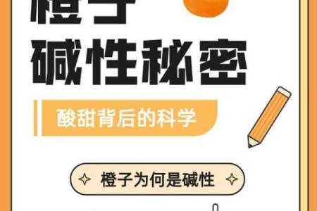 命里缺什么,命天注定:探寻命运背后的秘密与平衡之道